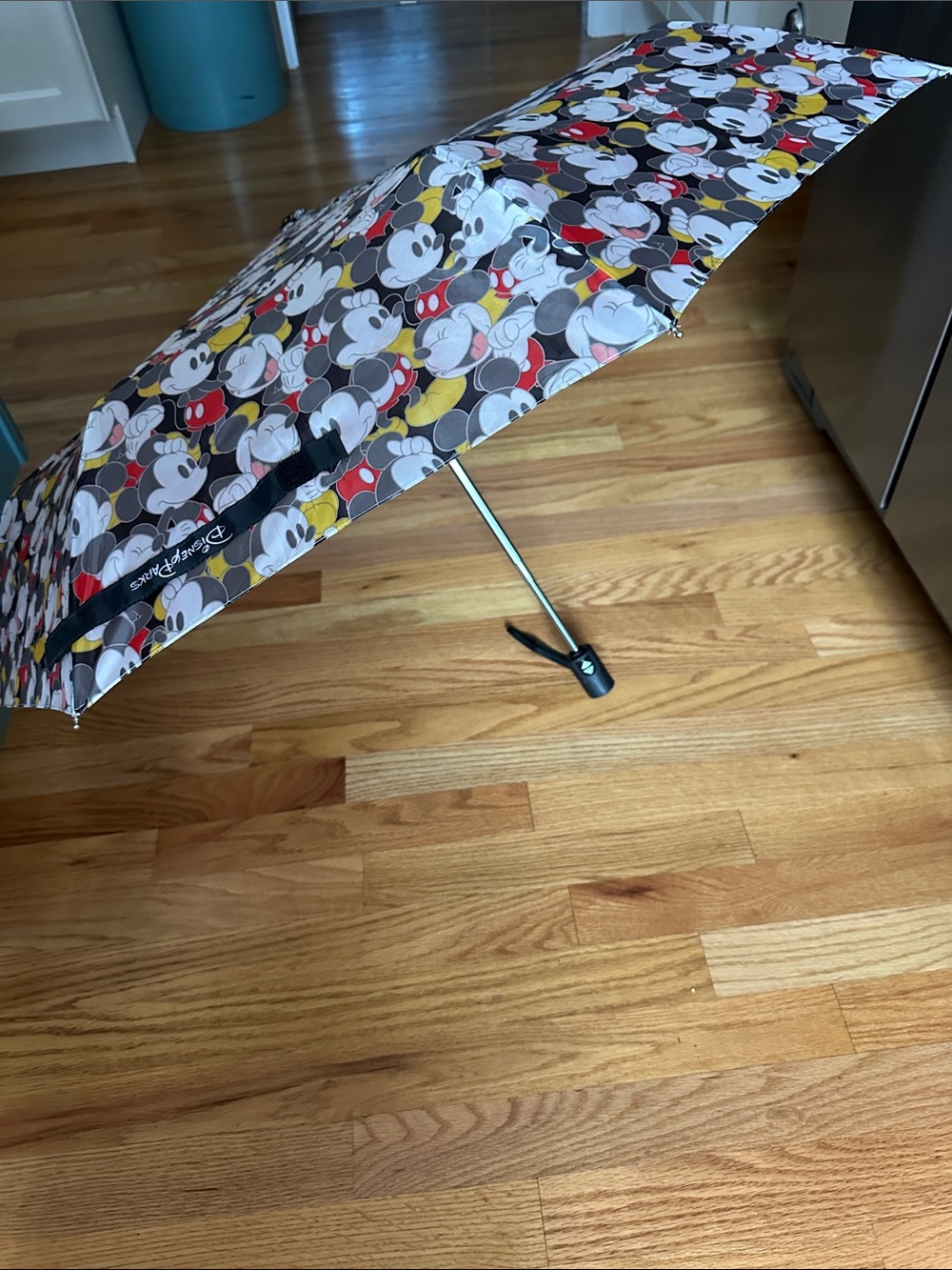Disney Parks Umbrella